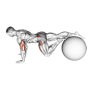 exercise ball one leg prone lower body rotation exercise demonstration