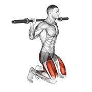 kneeling jump squat exercise demonstration
