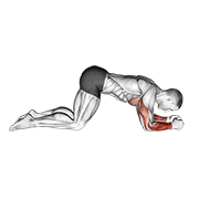 modified push up to lower arms exercise demonstration