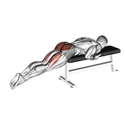 reverse hyper on flat bench exercise demonstration
