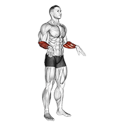 wrist circles exercise demonstration