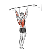 wide grip pull-up exercise demonstration