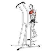chest dip (on dip-pull-up cage) dimostrazione dell’esercizio