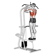 assisted standing chin-up exercise demonstration