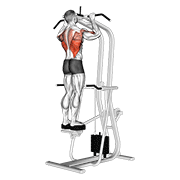 assisted standing pull-up exercise demonstration