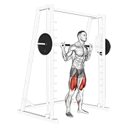 smith low bar squat exercise demonstration