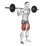 barbell low bar squat exercise demonstration