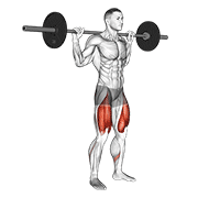 barbell high bar squat exercise demonstration