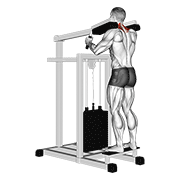 lever gripless shrug v. 2 dimostrazione dell’esercizio