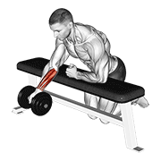 dumbbell over bench one arm reverse wrist curl dimostrazione dell’esercizio