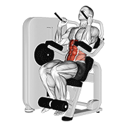 lever seated crunch exercise demonstration