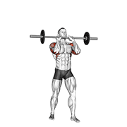 barbell standing close grip military press egzersiz gösterimi