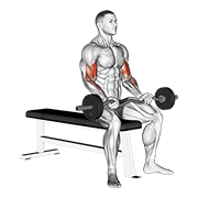 ez barbell seated curls dimostrazione dell’esercizio