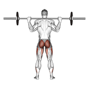 barbell full squat (back pov) dimostrazione dell’esercizio