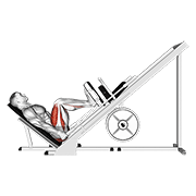 sled 45° leg press (side pov) egzersiz gösterimi