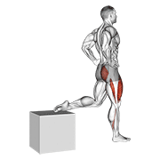one leg squat exercise demonstration