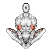 butterfly yoga pose egzersiz gösterimi