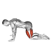 all fours squad stretch dimostrazione dell’esercizio