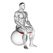 exercise ball seated hamstring stretch egzersiz gösterimi