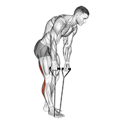 standing hamstring and calf stretch with strap dimostrazione dell’esercizio