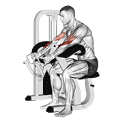 lever hammer grip preacher curl exercise demonstration