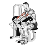 lever reverse grip preacher curl exercise demonstration
