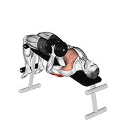 dumbbell decline one arm hammer press 动作演示