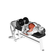 dumbbell one arm reverse grip press dimostrazione dell’esercizio