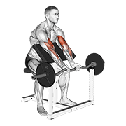 ez barbell close grip preacher curl egzersiz gösterimi