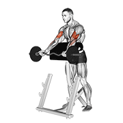 ez barbell spider curl exercise demonstration