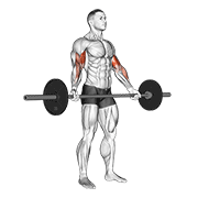 barbell standing wide grip biceps curl dimostrazione dell’esercizio