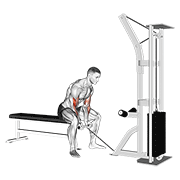 cable concentration curl egzersiz gösterimi