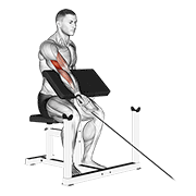 cable one arm preacher curl dimostrazione dell’esercizio