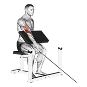 cable one arm reverse preacher curl exercise demonstration