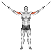 cable overhead curl egzersiz gösterimi