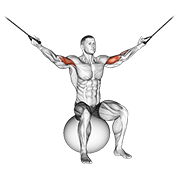 cable overhead curl on exercise ball exercise demonstration