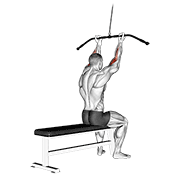 cable pulldown bicep curl dimostrazione dell’esercizio