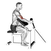 cable rope one arm hammer preacher curl exercise demonstration