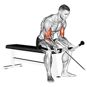 cable seated curl egzersiz gösterimi