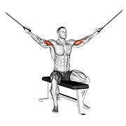 cable seated overhead curl dimostrazione dell’esercizio