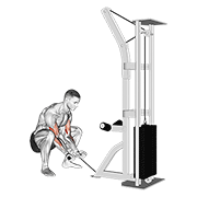 cable squatting curl exercise demonstration