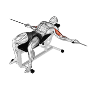 cable two arm curl on incline bench egzersiz gösterimi