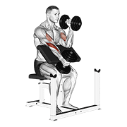 dumbbell alternate hammer preacher curl exercise demonstration