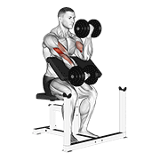 dumbbell alternate preacher curl dimostrazione dell’esercizio