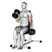 dumbbell alternate seated hammer curl exercise demonstration