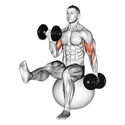 dumbbell alternating bicep curl with leg raised on exercise ball dimostrazione dell’esercizio