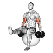dumbbell bicep curl on exercise ball with leg raised egzersiz gösterimi