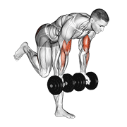 dumbbell bicep curl with stork stance dimostrazione dell’esercizio