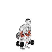 dumbbell biceps curl squat exercise demonstration