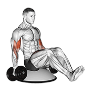 dumbbell biceps curl v sit on bosu ball 动作演示